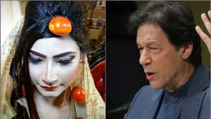 সোনার নয় বিয়েতে টম্যাটোর গয়না, ইমরান মুখ মাটিতে মিশিয়ে দিলেন পাক কনে