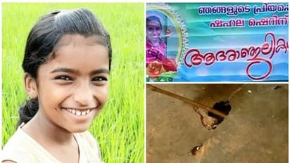 പാമ്പുകടിയേറ്റ് കുട്ടിയുടെ മരണം: വയനാട്ടിലെ മുഴുവൻ സ്കൂളും പരിസരവും ഉടൻ വൃത്തിയാക്കണമെന്ന് ഉത്തരവ്