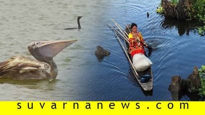 ಭಾರತದಲ್ಲಿದೆ ಜಗತ್ತಿನ ಏಕೈಕ ತೇಲುವ ವನ್ಯಜೀವಿ ಅಭಯಾರಣ್ಯ !