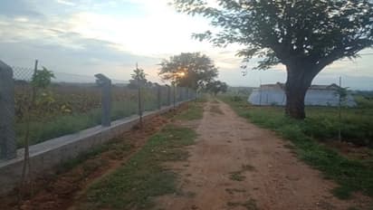 ಹೂವಿನಹಡಗಲಿಯಲ್ಲಿ ರಾಜ್ಯದ ಅತಿ ದೊಡ್ಡ ಇಕೋ ಪಾರ್ಕ್ ನಿರ್ಮಾಣ