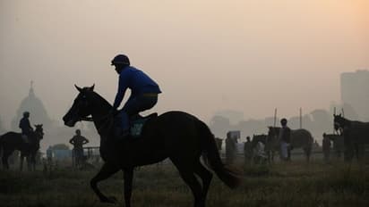 ঝকঝকে রোদের সঙ্গে পরিষ্কার আকাশ, শীতল হাওয়ায় বেশ আছে শহর কলকাতা