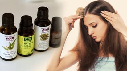 চুলের যত্নে টি-ট্রি অয়েলের অসাধারণ কিছু ব্যবহার, জানুন এখনই