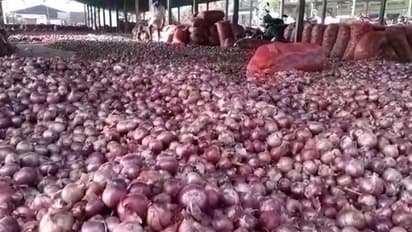 अभी और दिन महंगाई में तड़का लगाता रहेगा प्याज