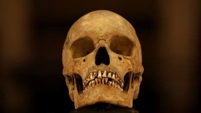 ಗಂಡು ಮಗು ಹುಟ್ಟಿದ ಖುಷಿ : 19 ವರ್ಷದ ತರುಣನ ಬಲಿ ನೀಡಿದ ದುರುಳ