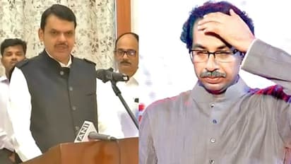 महाराष्ट्र में सियासी उलटफेर पर एक्टर ने कसा तंज, कहा, लोकतंत्र में जनता से बड़ा मूर्ख कोई नहीं