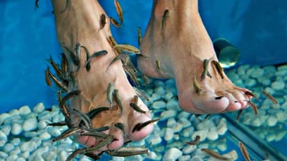 இப்படி ஒரு "ஸ்பா" வாழ்க்கையில் நீங்கள் போனதுண்டா..? நம்ம ஊரு குளத்தில் கிடைப்பது.. இன்று இன்டர்நேஷனல் பிசினஸ்...!