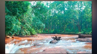 হাতে দু-তিন দিনের ছুটি, স্বল্প বাজেটে দেখে আসুন সারান্ডা