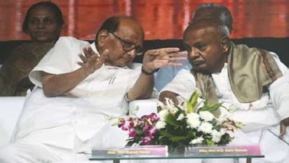 కర్ణాటక  గౌడలకు మహారాష్ట్ర పవార్ లకు చాలా దగ్గరి పోలిక