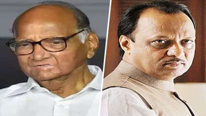 అజిత్ పవార్ ఘర్ వాపసీ కి అసలు కారణం ఇదే ...