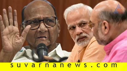 ಕೊಟ್ಟ ಹೊಡೆತಕ್ಕಿಂತ ದೊಡ್ಡ ಏಟು ತಿನ್ನುತ್ತಾ ಬಿಜೆಪಿ? NCP ಮುಂದಿನ ಆಯ್ಕೆ ಹೀಗಿದೆ