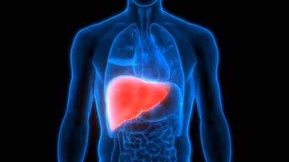 Fatty Liver Diet :  ഫാറ്റി ലിവർ വരാതിരിക്കാൻ ഡയറ്റിൽ ഉൾപ്പെടുത്തേണ്ട ചില ഭക്ഷണങ്ങളിതാ...