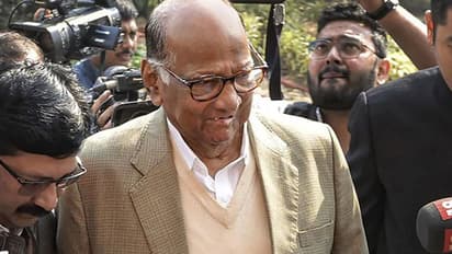 மகாராஷ்டிரா அரசியலில் அடுத்தடுத்து திருப்பம்... சரத்பவார் வீட்டில் பாஜக எம்.பி..!