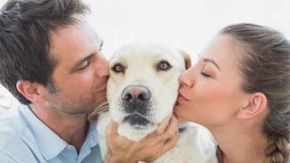 রাশি অনুযায়ী কোন পোষ্য আপনার জন্য সঠিক, জেনে নিন