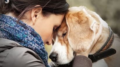 ഈ ലക്ഷണങ്ങള്‍ നിങ്ങളുടെ വളര്‍ത്തുമൃഗങ്ങള്‍ക്കുണ്ടോ? എങ്കില്‍ അവയ്ക്കും പ്രമേഹമുണ്ടാകാം