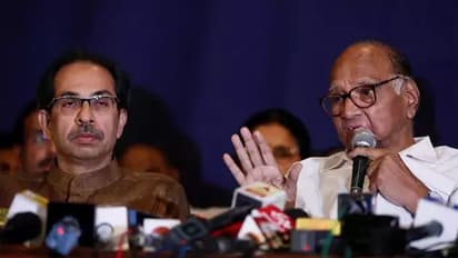 महाराष्ट्र: बेशकीमती हो गए हैं छोटे-छोटे दलों के ये 29 विधायक, इन पर सबकी नजरें