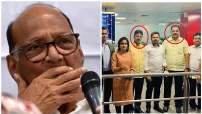 പിടിച്ചടക്കി ശരത് പവാർ; രണ്ട് എംഎൽമാരെക്കൂടി തിരികെയെത്തിച്ചു, അജിത് പവാറിനൊപ്പം ഇനി ഒരാൾ മാത്രം