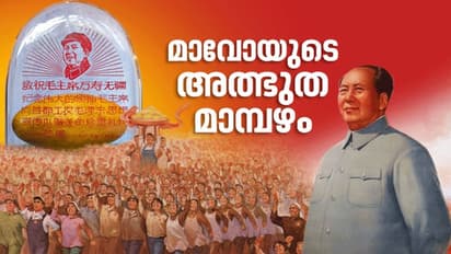 മാങ്ങയെ ബഹുമാനിക്കാഞ്ഞതിന് കഴുവേറ്റപ്പെട്ടു, പാകിസ്ഥാൻ മന്ത്രി മാവോയ്ക്ക് സമ്മാനിച്ച മാമ്പഴങ്ങൾ ചൈനയിൽ തരംഗമായത് ഇങ്ങനെ