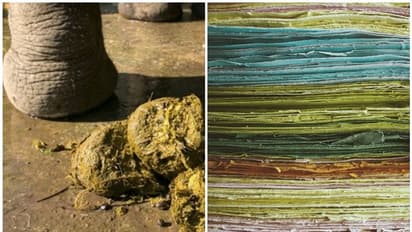 ആനപ്പിണ്ടത്തിൽ നിന്ന് സ്പെഷ്യൽ പേപ്പർ നിർമ്മിക്കും ശ്രീലങ്കയിലെ ഈ പ്രകൃതിസൗഹൃദഫാക്ടറി