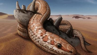 70 ദശലക്ഷക്കാലം പാമ്പുകള് ജീവിച്ചത് പിന്കാലുകളുമായി? പുതിയ പഠനങ്ങള് തെളിയിക്കുന്നതെന്ത്?