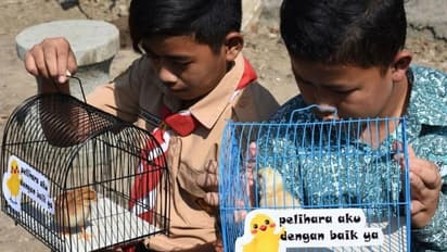 മൊബൈലിന്റെ അമിത ഉപയോഗം; കുട്ടികളെ വ്യതിചലിപ്പിക്കാൻ പുത്തൻ ആശയവുമായി ഈ നഗരം