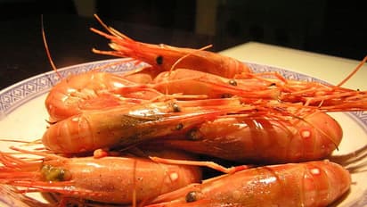 कहीं सूअर  के कान का सलाद तो कहीं जिंदा झींगा, ये हैं दुनिया के 5 अजीबोगरीब फूड