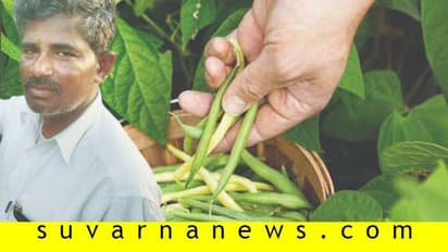 ಈರುಳ್ಳಿಯಿಂದ ಕಮರಿದ ಬದುಕು ಬೀನ್ಸ್‌ನಿಂದ ಅರಳಿತು!