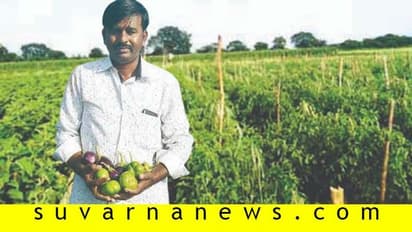 ಮೆಕ್ಕೆಜೋಳದಲ್ಲಿ ಹೋದ ಹಣ ತರಕಾರಿಯಲ್ಲಿ ಬಂತು!