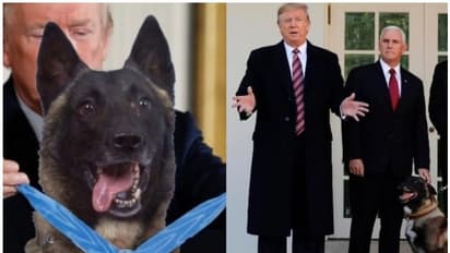 'കോനന്' അവാർഡും സർട്ടിഫിക്കറ്റും നൽകി ഡൊണാൾഡ് ട്രംപ്