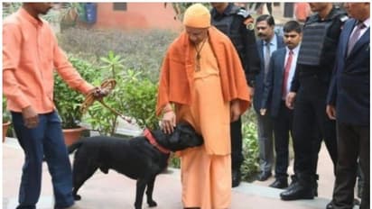 സോഷ്യല് മീഡിയയില് താരമായി യോഗിയുടെ വെജിറ്റേറിയന് വളര്ത്തുനായ കാലു