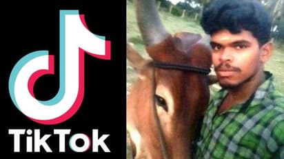 ജെല്ലിക്കെട്ട് കാളയുമായി ടിക് ടോക് വീഡിയോ ചെയ്യാൻ കുളത്തിലിറങ്ങി; യുവാവ് മുങ്ങി മരിച്ചു