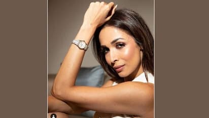 বয়স লুকোতে মেক আপেই ভরসা মালাইকার, ৩ নম্বর ছবিটি না দেখলেই বড় মিস