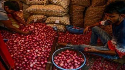 এখনই দাম কমার সম্ভাবনা নেই, পেঁয়াজ সংকট কাটাতে ভরসা এখন রাজস্থান