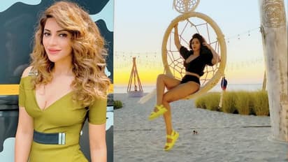 மியாமி பீச்சையே தெறிக்கவிட்ட பாலிவுட் நடிகை... ரசிகர்களின் ஹார்ட் பீட்டை எகிற வைத்த ஹாட் பிகினி போட்டோஸ்...!