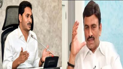 కేంద్ర బడ్జెట్ 2020: జగన్ కు వైసీపీ ఎంపీ ఝలక్, జవదేకర్ స్పందన ఇదీ...
