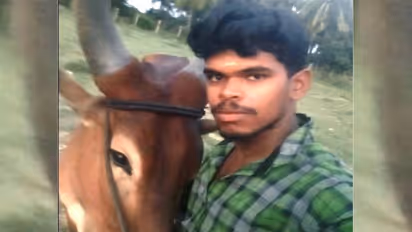 टिकटॉक के चक्कर में गई युवक की जान, सांड़ के साथ तालाब में बना रहा था वीडियो, दोस्त देखते रहे