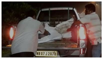 চিতাবাঘ ভেবে আতঙ্ক , বন্যপ্রাণীকে পিটিয়ে মারল শহরবাসী