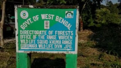 ডুয়ার্সে গাড়ির ধাক্কায় জখম গণ্ডার,কাবু করতে গিয়ে আহত বিট অফিসার