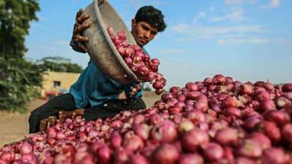 प्याज की कीमतों के लिए सरकार ने लिया अहम फैसला, क्या जनता को मिलेगी राहत