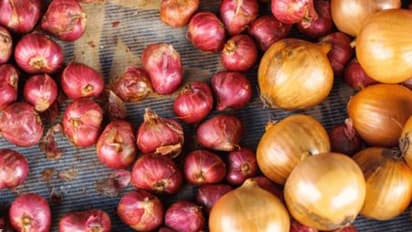 ഗുണങ്ങളിൽ കേമൻ സവാളയോ ചെറിയ ഉള്ളിയോ...?