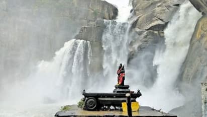 3 ஆண்டுகளுக்குப் பின் தாமிரபரணியில் கரைபுரண்டு ஓடும் வெள்ளம்..! விவசாயிகள் மகிழ்ச்சி..!