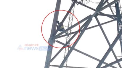 ప్రేమ కోసం టవరెక్కితే.. వాటికి దొరికిపోయాడు...