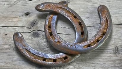 ये हैं काले घोड़े की नाल के 8 अचूक उपाय, कर सकते हैं आपकी परेशानियों का समाधान