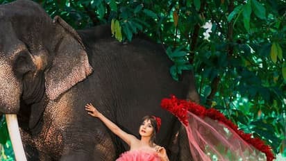 யானையை வைத்து கெத்து காட்டும் சாக்‌ஷி... கலர் கலர் உடையில் கலக்கல் போட்டோஷூட்... லைக்குகளை அள்ளிக்குவிக்கும் போட்டோஸ்...!