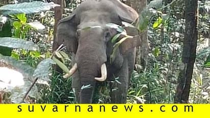 ಹಾಳಾದ ಚಾರ್ಮಾಡಿ ಘಾಟಲ್ಲಿ ವಾಹನ ಸವಾರರಿಗೆ ಮತ್ತೊಂದು ಭಯ