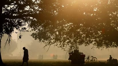 ডিসেম্বরেও শীতের অপেক্ষায় শহরবাসী, কাল থেকে ঠান্ডা নামার সম্ভাবনা