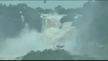 பேய்மழையுடன் கரைபுரண்டு ஓடும் வரலாறு காணாத வெள்ளம்..! அசராமல் தாங்கும் தாமிரபரணி..!