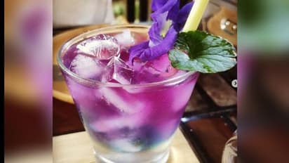 বেগুনি চা কীভাবে শরীরের উপকার করে, জেনে নিন