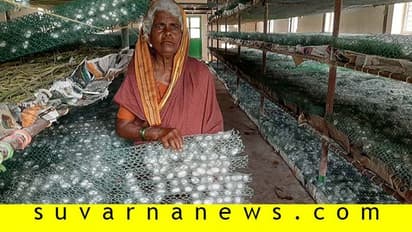 ರೇಷ್ಮೆ ಬೆಳೆಯಿಂದ 5.60ಲಕ್ಷ ಎಣಿಸುತ್ತಿರುವ ಬಳ್ಳಾರಿ ಕೊಟ್ರಮ್ಮ!