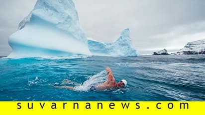 ಅಪಾಯಕಾರಿ ಅಂಟಾರ್ಟಿಕ ಸಾಗರದಲ್ಲಿ ಈಜಬಹುದೇ? ಈ ಸಾಧಕನನ್ನೇ ಕೇಳಿ!