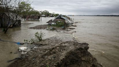 বুলবুল-এর ধাক্কায় ডুবতে বসেছে তিন দ্বীপ, সুন্দরবন নিয়ে চিন্তা পরিবেশবিদদের